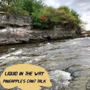 Download track Liquids Pineapples Can't Talk