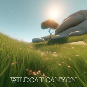 Download track Mystic Whistle Wildcat Canyon