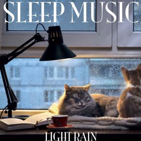 Download track Light Rain Sleep Music