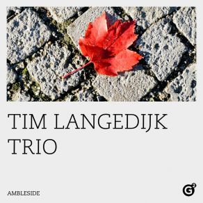 Download track New Year Tim Langedijk Trio