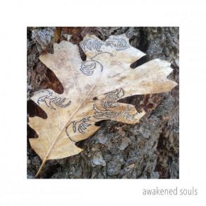 Download track Swell Awakened Souls