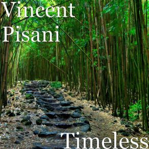 Download track In Search Of You Vincent Pisani