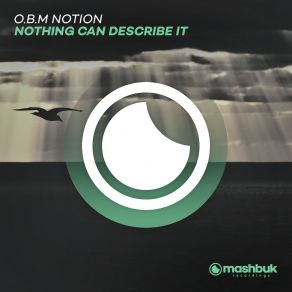 Download track Nothing Can Describe It (Original Mix) O. B. M Notion