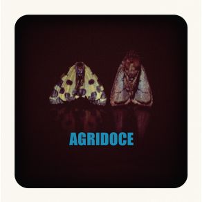 Download track Ne Parle Pas Agridoce