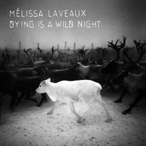 Download track Hash Pipe Melissa Laveaux