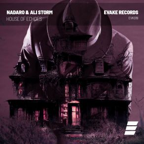 Download track House Of Echoes Ali Storm