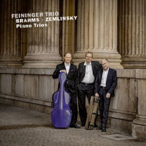 Download track Zemlinsky Piano Trio In D Minor, Op. 3 I. Allegro Ma Non Troppo Feininger Trio