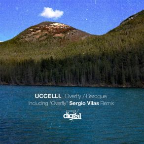 Download track Overfly (Sergio Vilas Remix) UccelliSergio Vilas