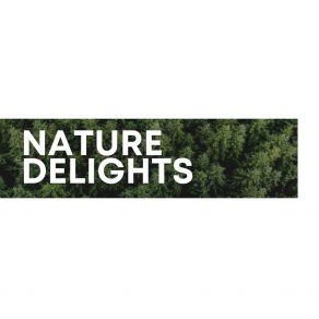 Download track Flying Through Nature Rain Worldwide Nature Studios