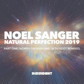 Download track Natural Perfection (Seth Vogt Remix) Noel Sanger