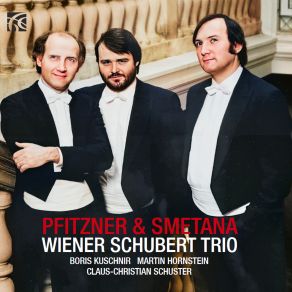 Download track Piano Trio In G Minor, Op. 15 I. Moderato Assai (Live) Wiener Schubert Trio