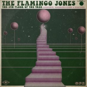 Download track Night Train Electric Flamingo Jones