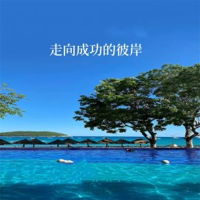 Download track 走向成功的彼岸 MAMUSUONA