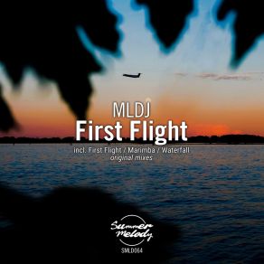 Download track First Flight (Original Mix) Mldj