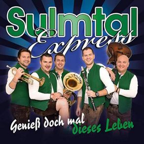 Download track Gute Freunde Sulmtal Express