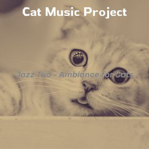 Download track Trio Jazz Soundtrack For Cats Cat Music Project