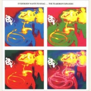 Download track Strange House In The Snow The Teardrop Explodes