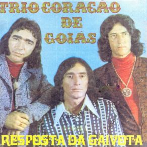 Download track Vou Vender Meu Coração Trio Coração De Goiás