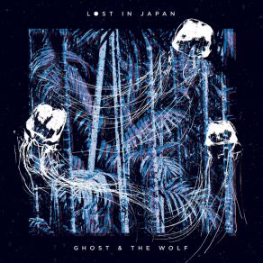 Download track Stumble Lost In Japan