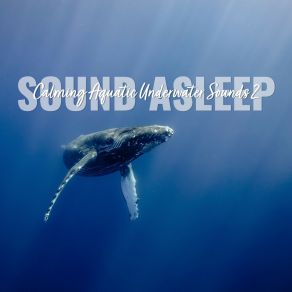 Download track Calming Aquatic Underwater Sounds, Pt. 19 Elijah Wagner