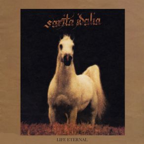 Download track Traces Of Light Sarita Idalia