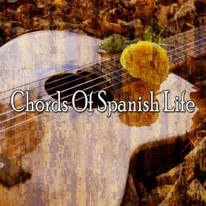 Download track I've Fallen In Love Gypsy Flamenco Masters