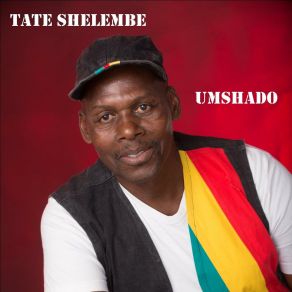 Download track Induna Tate Shelembe