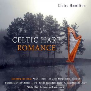 Download track Don't Wanna Miss A Thing Claire Hamilton