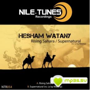 Download track Rising Sahara (Original Mix) Hesham Watany