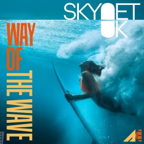 Download track Way Of The Wave (Original Mix [Remastered]) Skynet UK