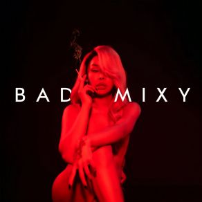 Download track โอ้ละหนอไอ้แฟนเก่า BADMIXYSin