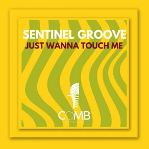 Download track Just Wanna Touch Me (Extended Mix) Sentinel Groove