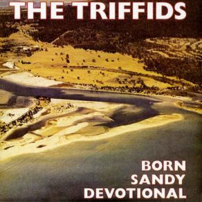 Download track Born Sandy Devotional The Triffids