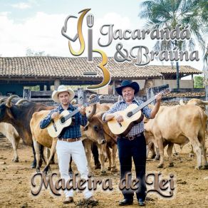 Download track Madeira De Lei Jacarandá E Braúna