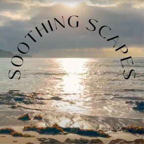 Download track Coastal Serenity Soothing Scapes