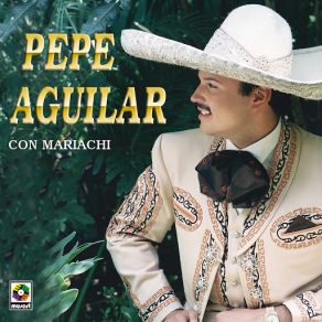 Download track Por Si Acaso Pepe Aguilar