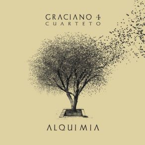 Download track Amanece La Ciudad Graciano 4 Cuarteto