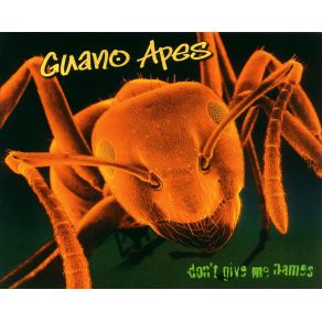 Download track Anne Claire Guano Apes