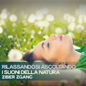 Download track Deep Mind Reset Ziber Zganc