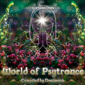 Download track Fractal Journey (Via Axis Remix) OvnimoonTerra