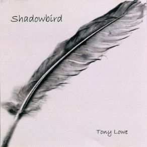 Download track Song For Shadowbird Tony Lowe