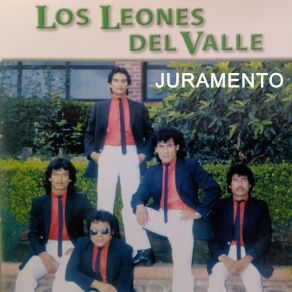 Download track Sueño Anhelado Los Leones Del Valle