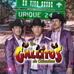 Download track Ausencia Eterna (En Vivo) Los Gallitos De Chihuahua