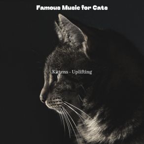 Download track Memories (Training Cats) Famous Music For Cats