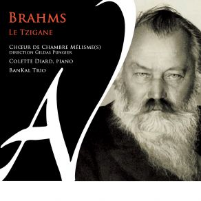 Download track Brahms: Zigeunerlieder Op. 103: No. 2, Hochgetürmte Rimaflut (Arr. For Choir, Piano & Orchestra By Gildas Pungier) Gildas Pungier, Colette Diard, Choeur De Chambre Mélisme (S), BanKal Trio