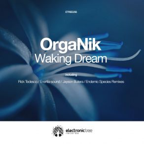 Download track Waking Dream Organik