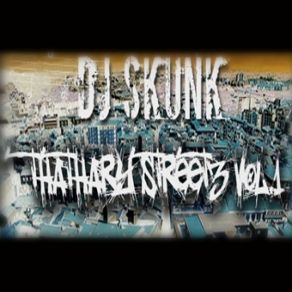 Download track Drunken Dj Skunk