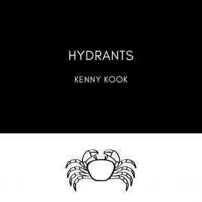 Download track Fleapits Kenny Kook