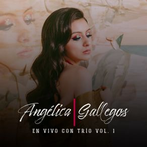 Download track Si Nos Dejan (En Vivo) Angélica GallegosJosé Esparza