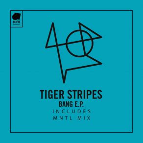 Download track Bang (Original Mix) Tiger Stripes